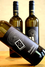 RIESLING I Wurzelwerk I 22