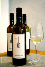 Riesling Classic 2021 von Doppler-Hertel onlineVINOTHEK Pfalz zum Chillen